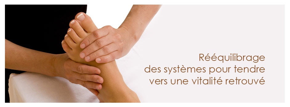 Rééquilibrage des systèmes pour tendre vers une vitalité retrouvé
